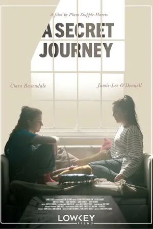 Постер к фильму A Secret Journey (-)