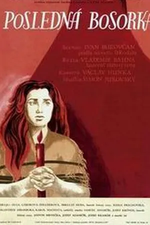 Постер к фильму Последняя ведьма (1957)