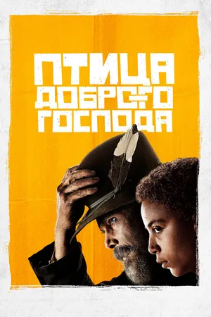 Постер к сериалу Птица доброго господа (2020)