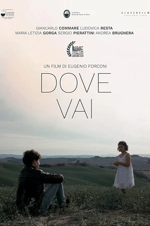 Постер к фильму Dove Vai (2019)