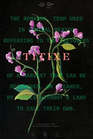 Постер к фильму Titixe (2018)