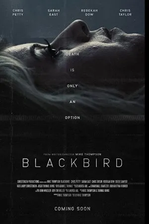 Постер к фильму Blackbird (2020)