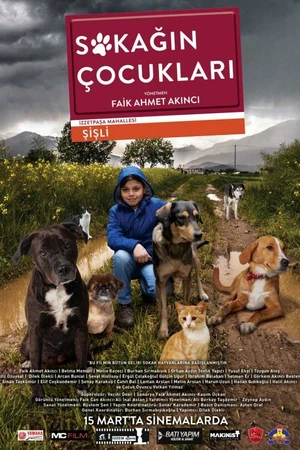 Постер к фильму Sokagin Çocuklari (2019)