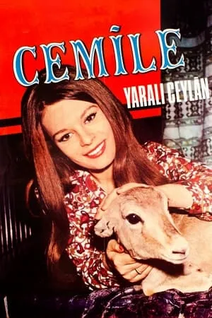 Постер к фильму Yarali ceylan (1970)
