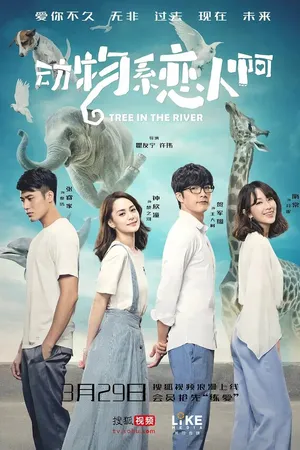 Постер к сериалу Дерево в реке (2018)