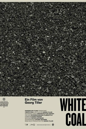 Постер к фильму White Coal (2015)