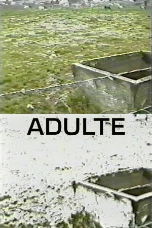 Постер к фильму Adulte (1998)