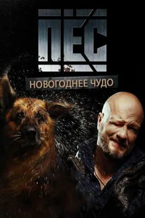 Постер к сериалу Пёс. Новогоднее чудо (2018)