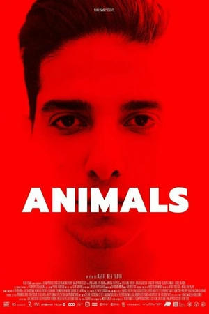 Постер к фильму Животные (2021)