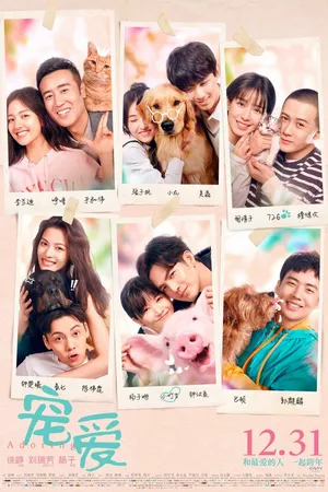 Постер к фильму Обожание (2019)