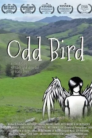 Постер к фильму Odd Bird (2019)