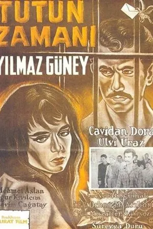 Постер к фильму Tütün zamani (1959)