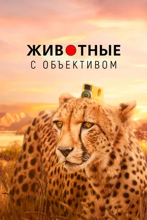 Постер к сериалу Животные с объективом (2018)