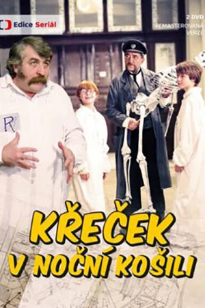 Постер к сериалу Кржечек в ночной рубашке (1988)