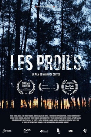 Постер к фильму Les proies (2018)
