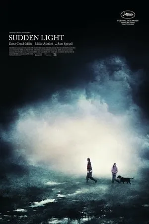 Постер к фильму Sudden Light (2020)