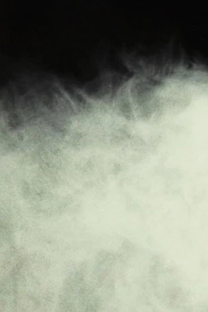 Постер к фильму An Example of Lee-Roth Fog, Isolated Under Laboratory Conditions (2018)