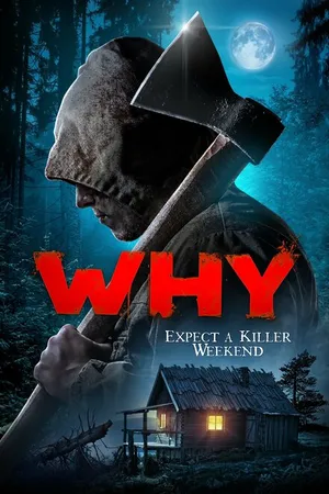 Постер к фильму За что? (2019)