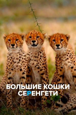 Постер к фильму Большие кошки Серенгети (2019)