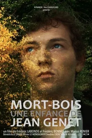 Постер к фильму Mort-Bois (2019)
