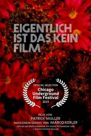 Постер к фильму Eigentlich ist das kein Film (2019)