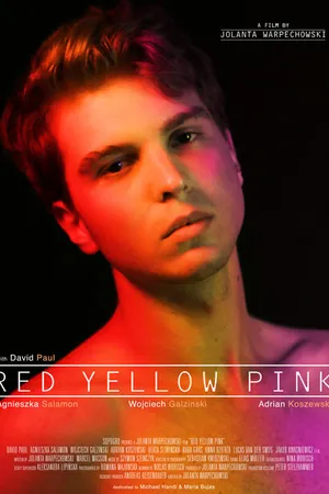 Постер к фильму Red Yellow Pink (2020)