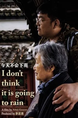 Постер к фильму I don't think it is going to rain (2019)