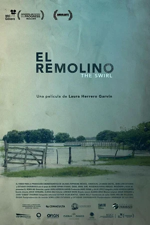 Постер к фильму El Remolino (2016)