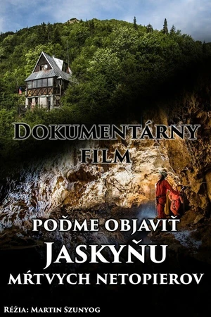 Постер к фильму Jaskyna mrtvych netopierov (2021)