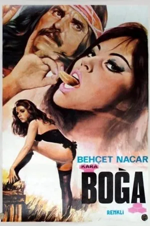 Постер к фильму Kara Boga (1974)