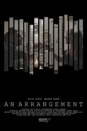 Постер к фильму An Arrangement (2019)