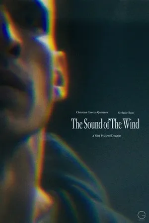 Постер к фильму The Sound of The Wind (2020)
