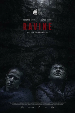 Постер к фильму Hasadék (2021)