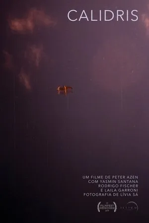 Постер к фильму Calidris (2019)