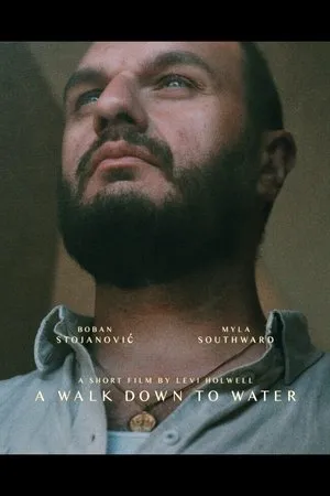 Постер к фильму A Walk Down to Water (2019)