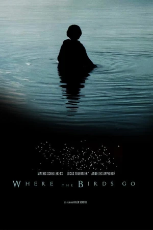 Постер к фильму Where the birds go (2019)