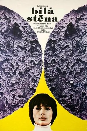 Постер к фильму Белая стена (1975)