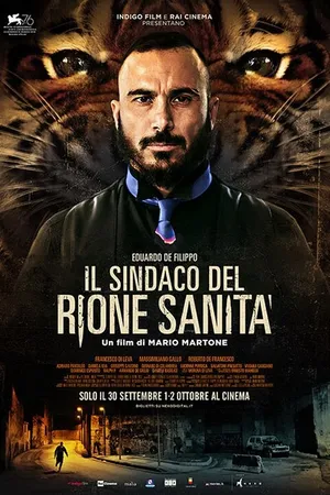 Постер к фильму Мэр района Санита (2019)
