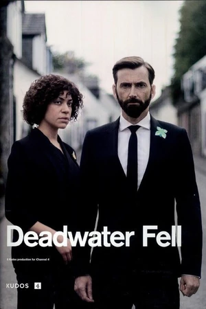 Постер к сериалу Падение в мёртвые воды (2020)