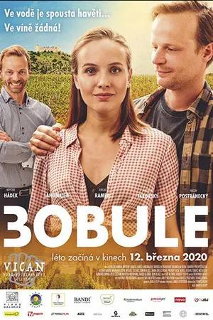 Постер к фильму 3Bobule (2020)