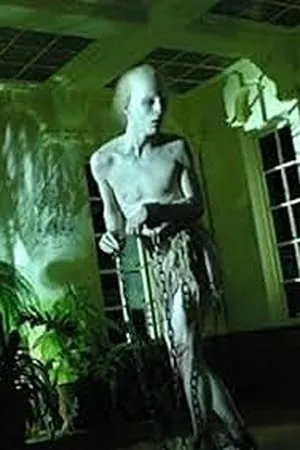 Постер к фильму Ataúdes de luz (2002)