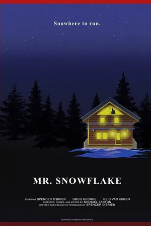 Постер к фильму Mr. Snowflake (2018)