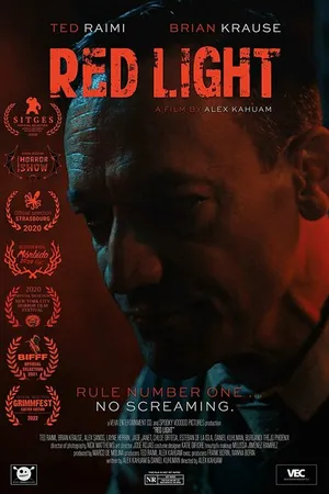 Постер к фильму Red Light (2020)