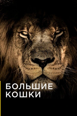 Постер к сериалу Большие кошки (2016)
