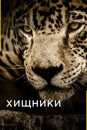 Постер к сериалу Хищники (2016)