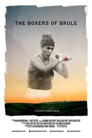 Постер к фильму The Boxers of Brule (2019)