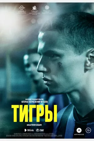 Постер к фильму Тигры (2020)