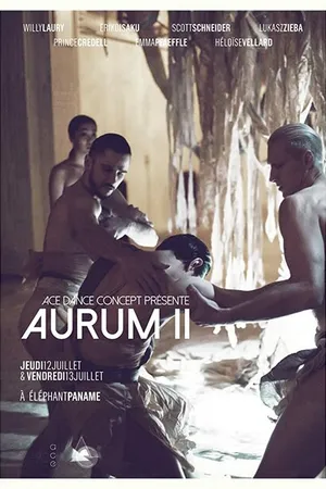 Постер к фильму Aurum II (-)