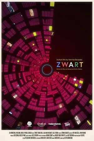 Постер к фильму Zwart (2019)