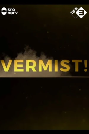 Постер к сериалу Vermist! (2019)